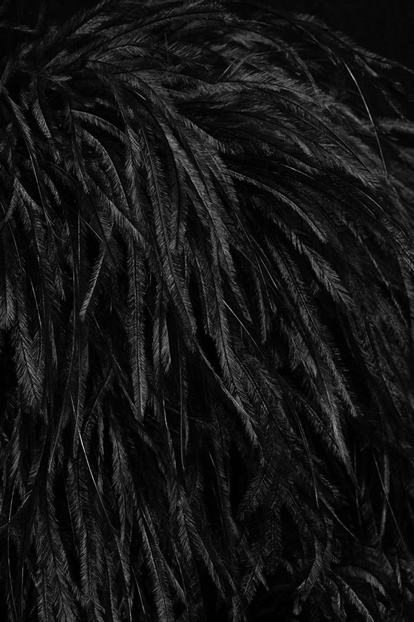 Velvet dress with ostrich feathers    Maison D'Angel Ann