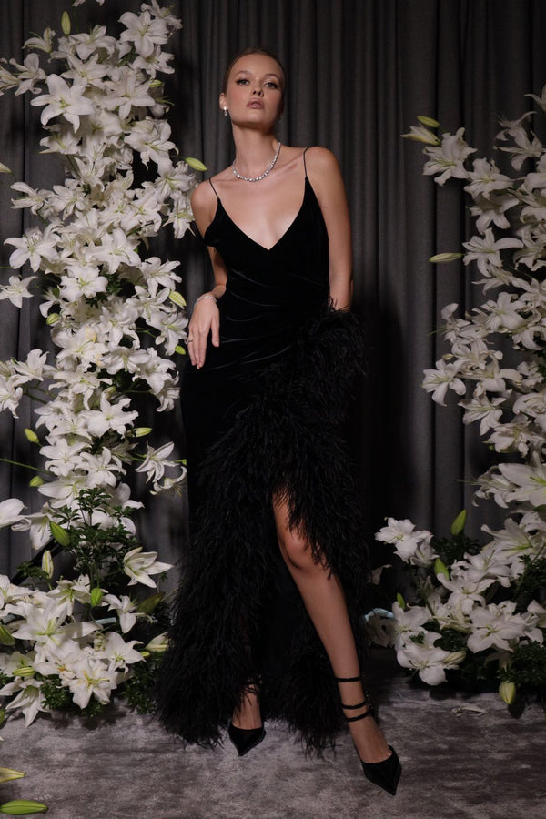 Velvet dress with ostrich feathers