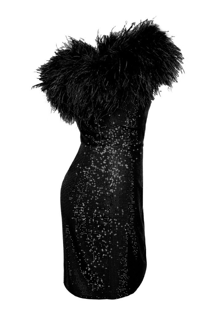 Dress with natural feathers and crystals