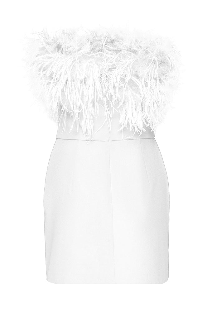 Short elegant dress with ostrich feathers