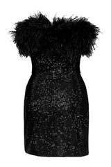 Dress with natural feathers and crystals