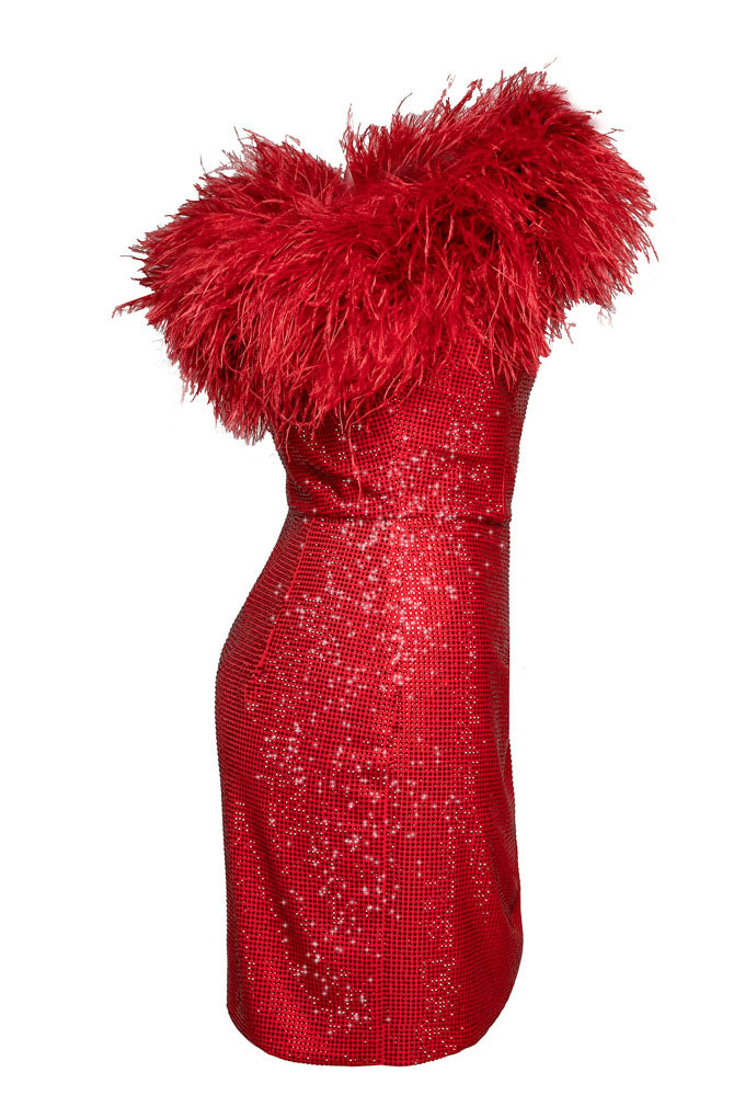 Dress with natural feathers and crystals